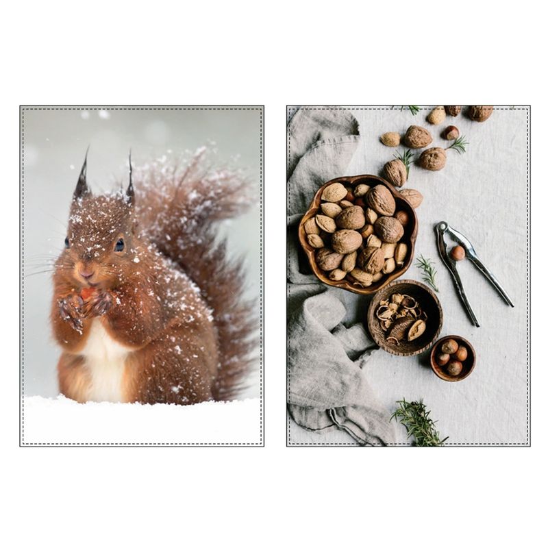 LIVING CRAFTS Küchenhandtuch 1400, 2er Pack, squirrel/nuts, 50X70 cm - Produktbild