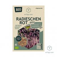 Radieschen Rot - BIO Microgreens/Sprossen Samen - Produktbild