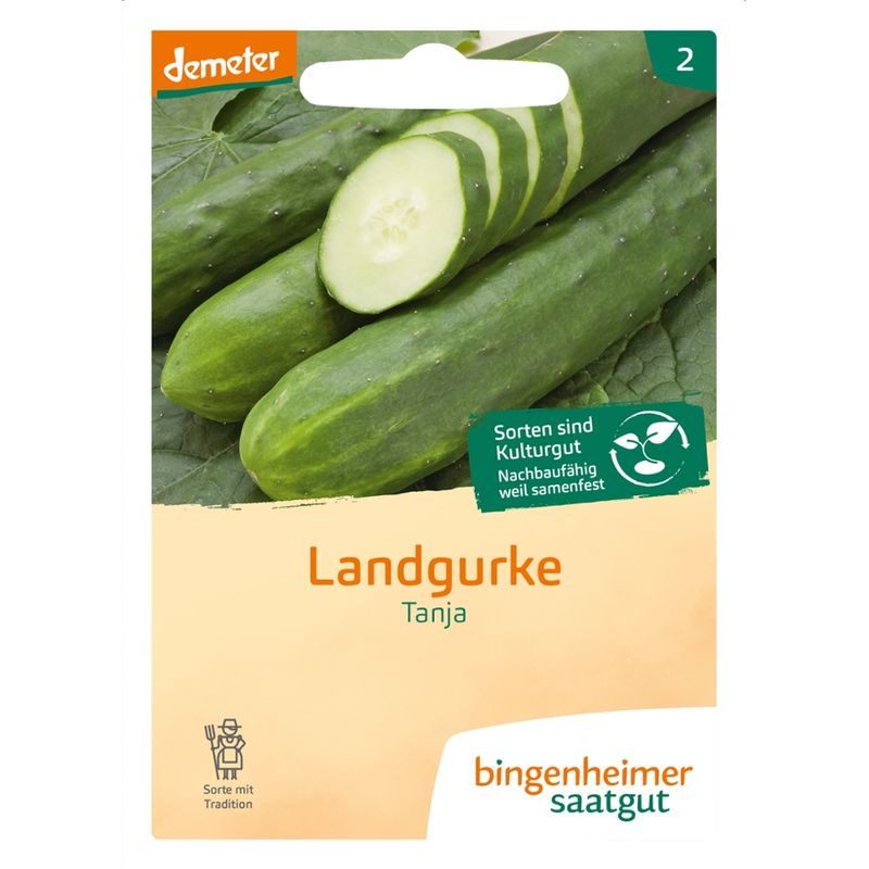 Bingenheimer Saatgut Tanja - Freilandgurke (Saatgut) - Produktbild