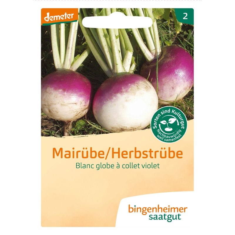 Bingenheimer Saatgut Blanc globe à collet violet - Mairübe (Saatgut) - Produktbild
