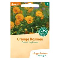 Cosmea, orange - Produktbild