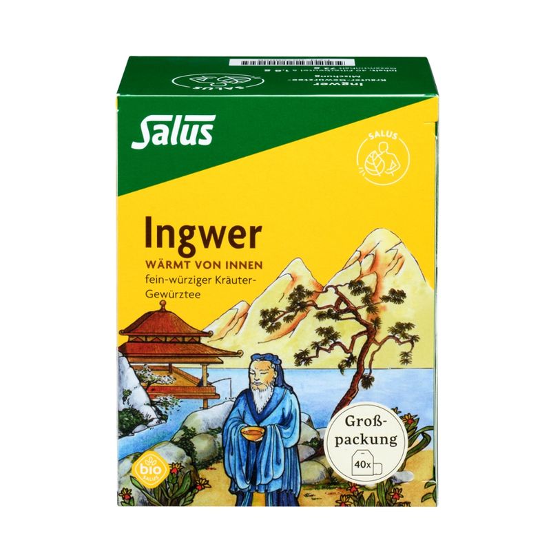 Salus® Ingwer Kräuter-Gewürztee-Mischung bio 40 FB - Produktbild