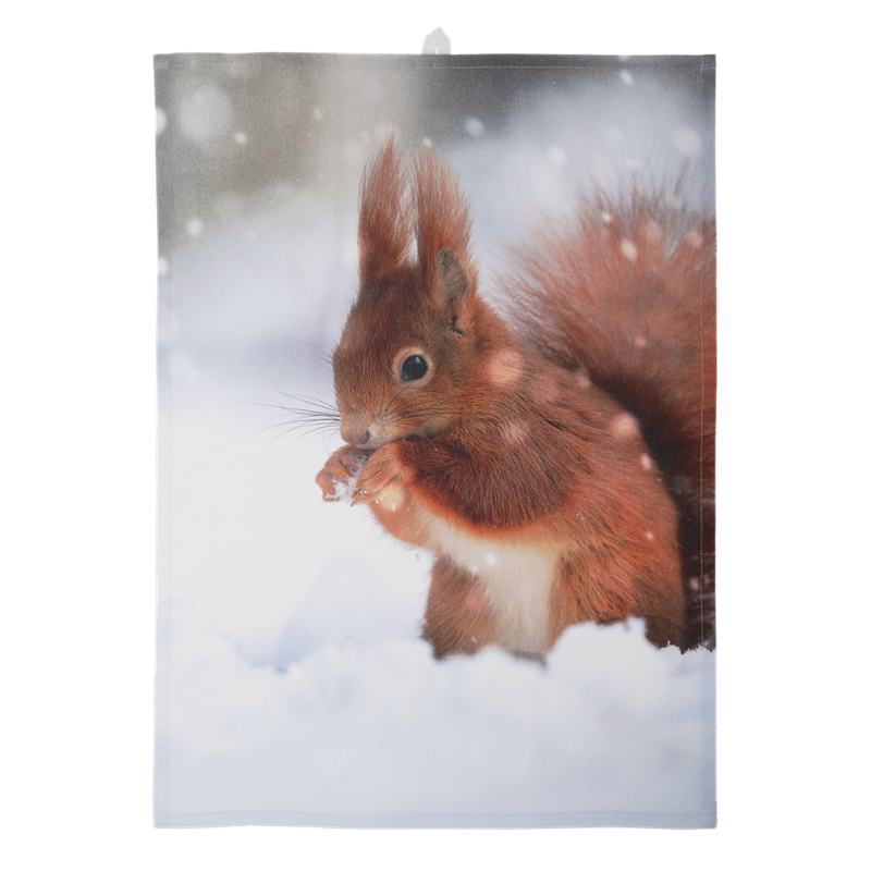 LIVING CRAFTS Küchenhandtuch 1400, 2er Pack, squirrel/snowflakes, 50X70 cm - Produktbild