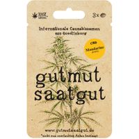 Cannabissamen (3Stk) - Mandarine CBD (Fast) - Produktbild