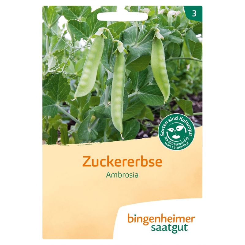 Bingenheimer Saatgut Ambrosia - Zuckererbse (Saatgut) - Produktbild