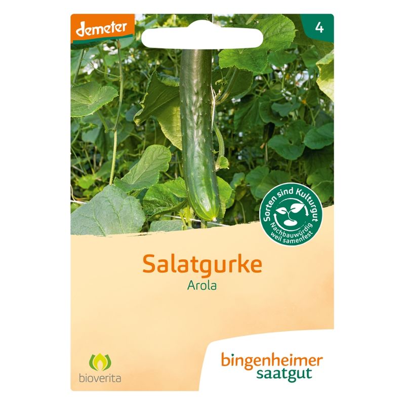Bingenheimer Saatgut Arola - Salatgurke (Saatgut) - Produktbild