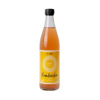Bio Kombucha Frucht 0,5L Gäa-Qualität - Produktbild