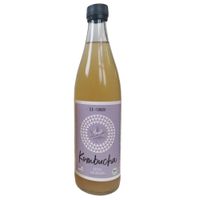 Bio Kombucha Hanf 0,5L Gäa-Qualität - Produktbild