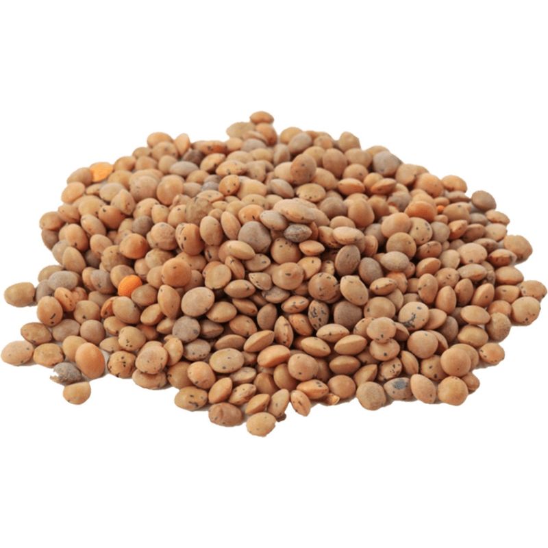 Nur Puur Berglinsen lose - Produktbild