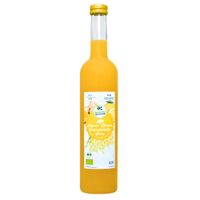 Bio Ingwer-Zitrone-Holunderblüten Sirup - Produktbild