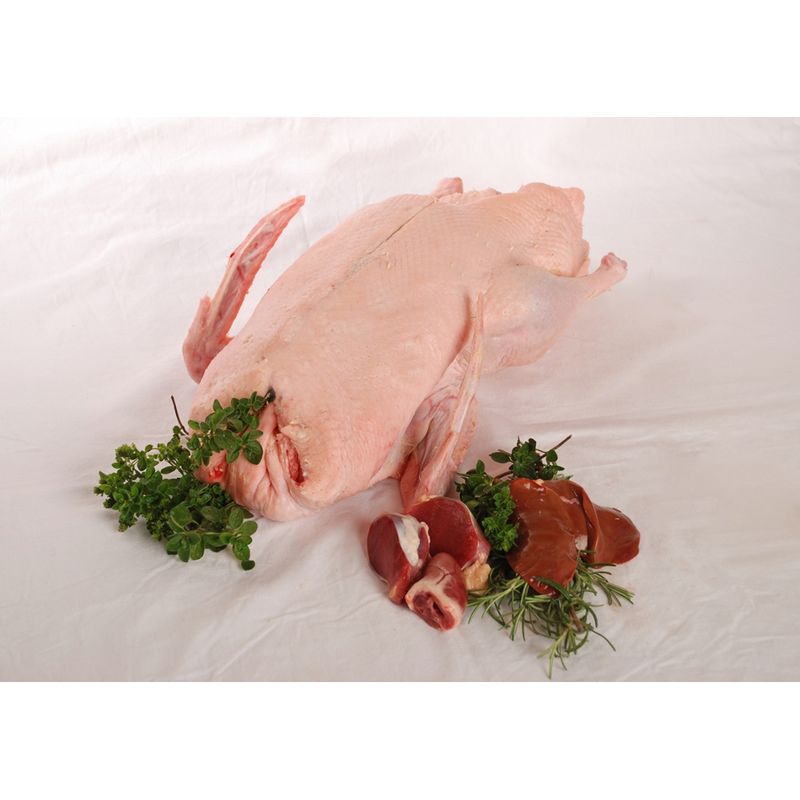 Sonnberg BIO Ente - Produktbild