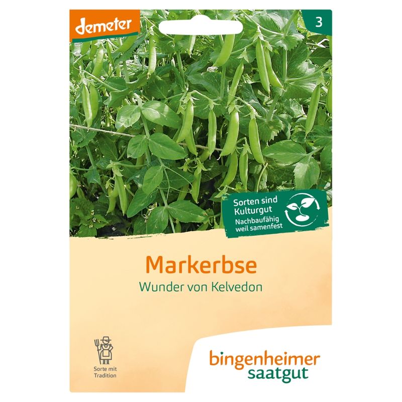 Bingenheimer Saatgut Wunder von Kelvedon - Markerbse (Saatgut) - Produktbild