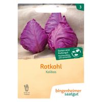 Spitzkohl Kalibos - Produktbild