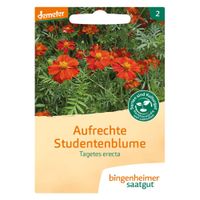 Studentenblume, aufrechte - Produktbild