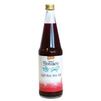 Bio Apfel-Rote Bete Saft - Produktbild