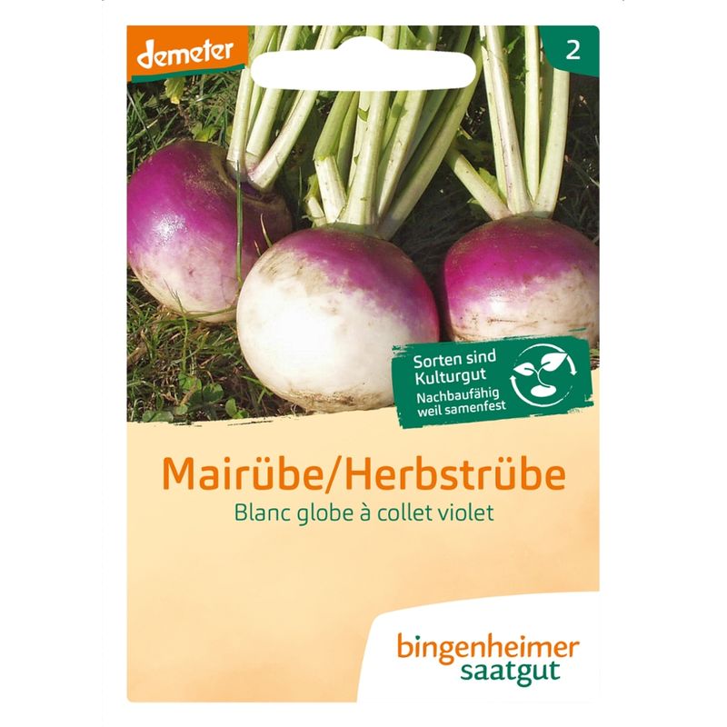 Bingenheimer Saatgut Blanc globe à collet violet - Mairübe (Saatgut) - Produktbild