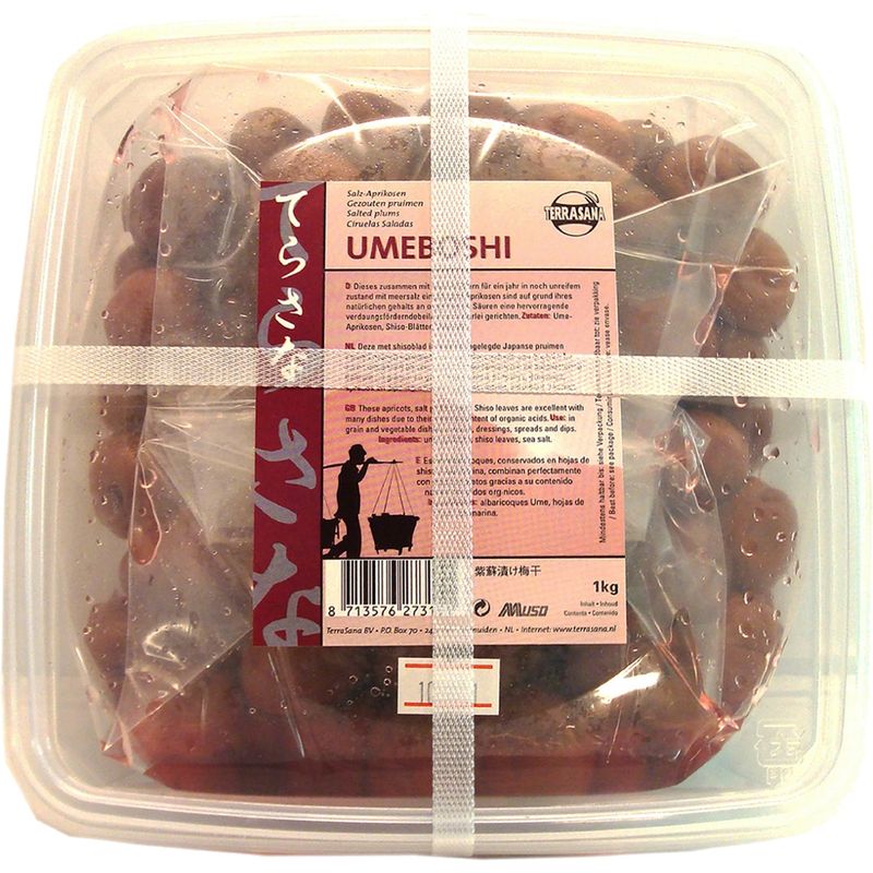 TS-Import Umeboshi - Produktbild