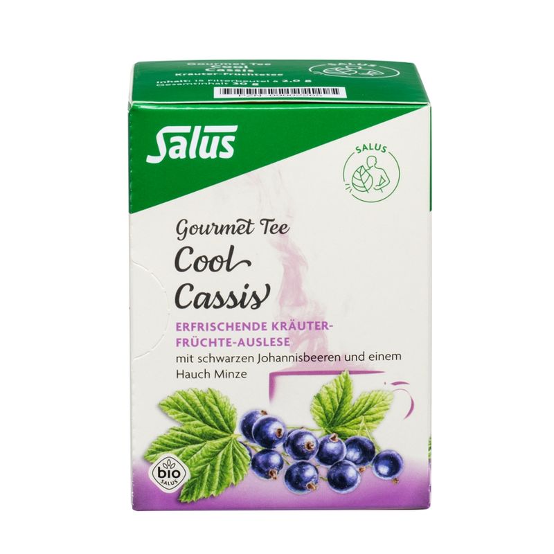 Salus® Salus® Gourmet Cool Cassis Kräutertee bio 15 FB - Produktbild