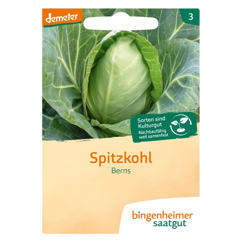 Bingenheimer Saatgut Weißkohl Berns (Saatgut) - Produktbild