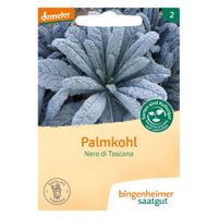 Palmkohl Nero di Toscana - Produktbild