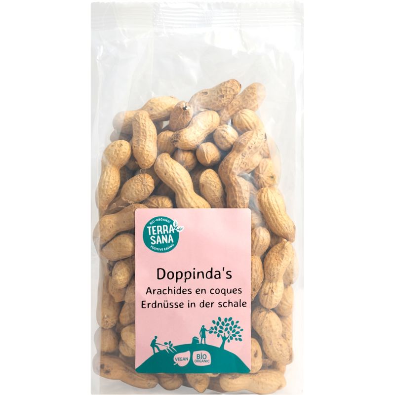 TerraSana Erdnüsse in der Schale - Produktbild
