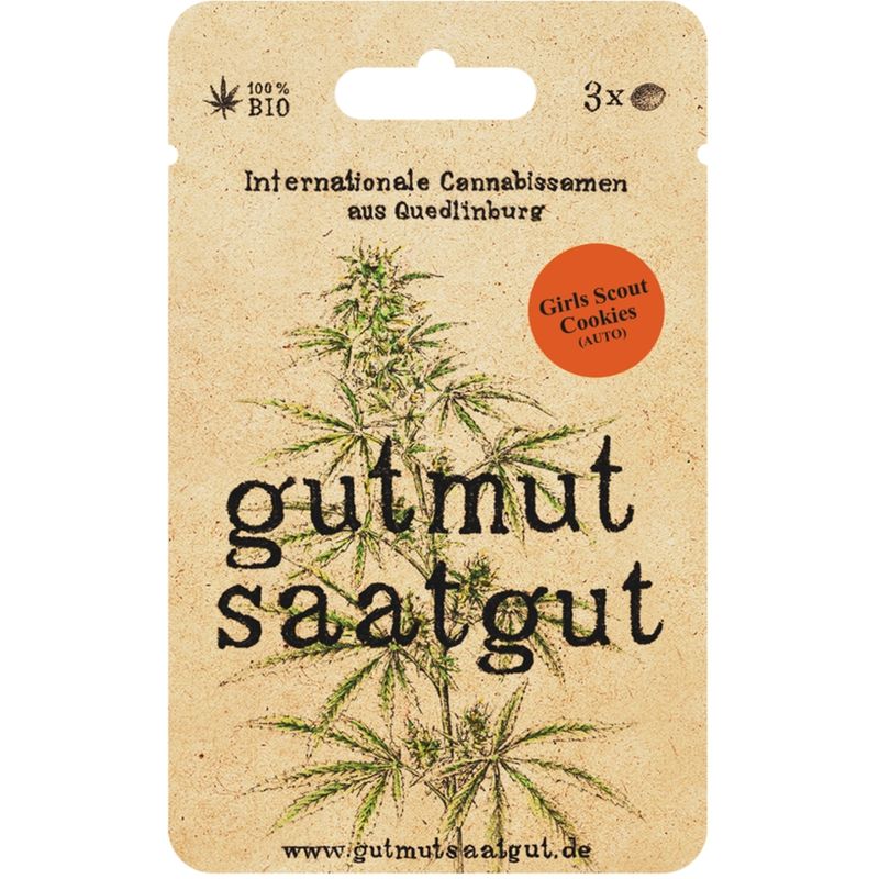 gutmut saatgut Cannabissamen (3Stk) - Girl Scout Cookies (Auto): Girl Scout Cookies (Auto) liefert dir in 9-10 Wochen beliebte Keksteig-Noten und verbindet Euphorie mit entspannendem Körpergefühl. - Produktbild