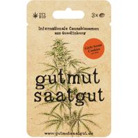 Cannabissamen (3Stk) - Girl Scout Cookies (Auto) - Produktbild