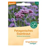 Patagonisches Eisenkraut - Produktbild