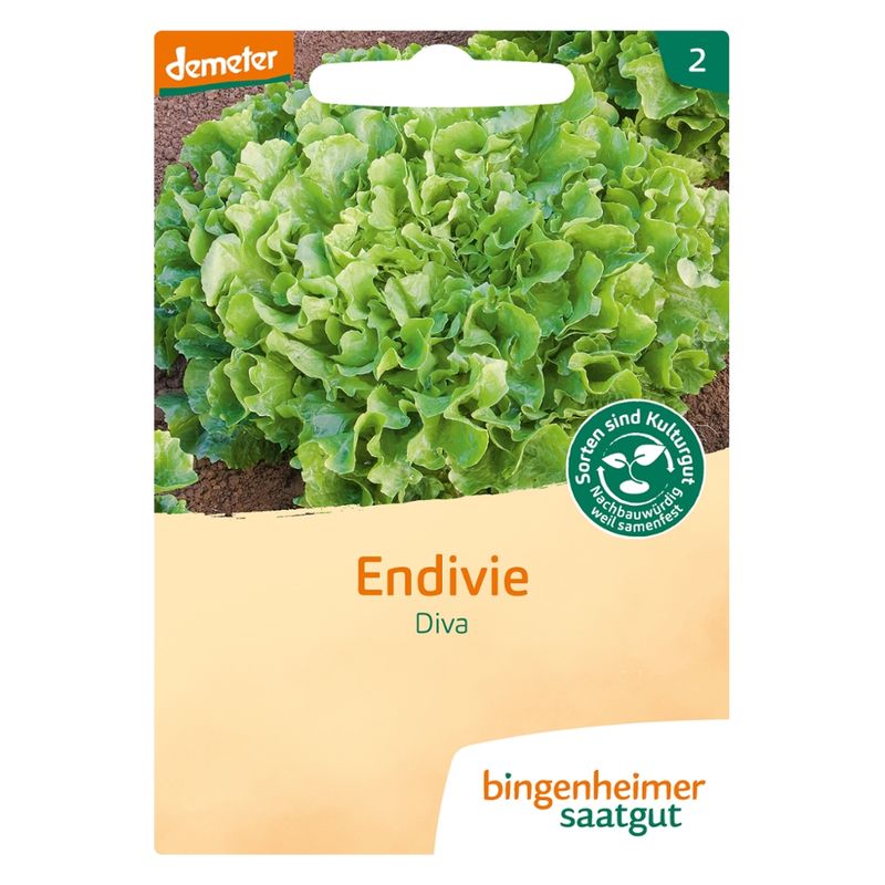 Bingenheimer Saatgut Diva - Endivie (Saatgut) - Produktbild