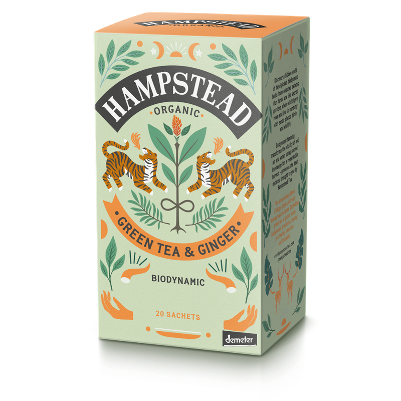 Hampstead Organic  Demeter Organic Green  tea  with ginger bags in plastic free packaging - Produktbild