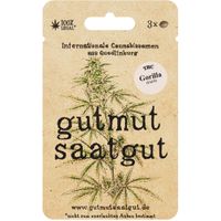 Cannabissamen (3Stk) - Gorilla (Fast) - Produktbild