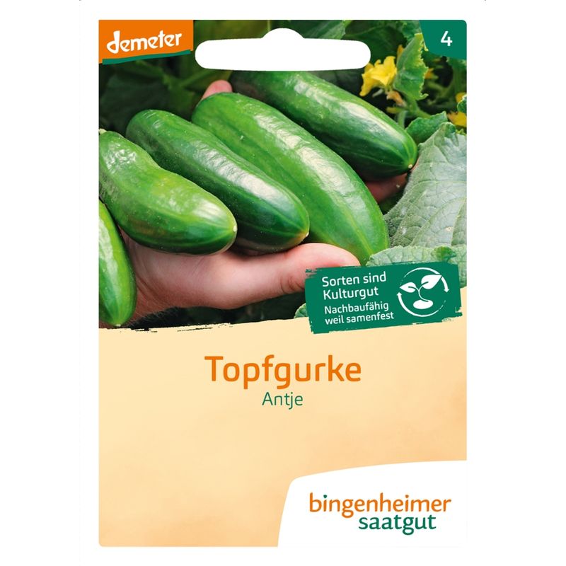 Bingenheimer Saatgut Antje - Snackgurke (Saatgut) - Produktbild