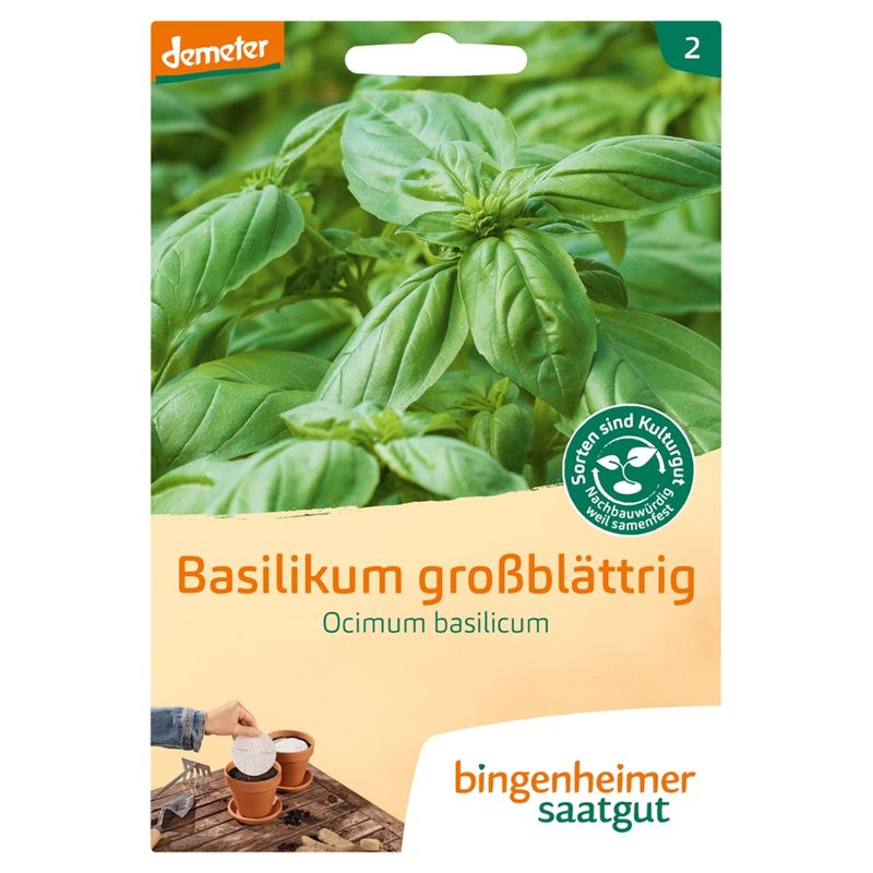 Bingenheimer Saatgut Basilikum Saatscheiben - Kräuter (Saatgut) - Produktbild