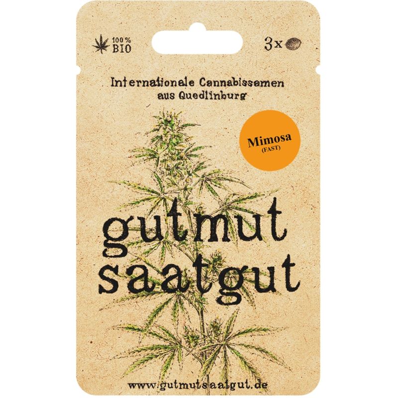 gutmut saatgut Cannabissamen (3Stk) - Mimosa (Fast): Mimosa (Fast) bringt dir in nur 7 Wochen Sativa-Power mit hohen Erträgen und einem belebenden Zitrus-Kiefer-Aroma. - Produktbild
