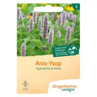Anis-Ysop - Produktbild