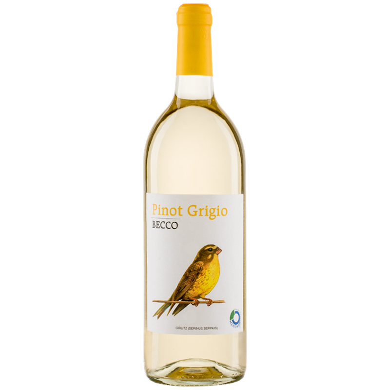 Riegel Eigenmarke BECCO Pinot Grigio IGT 1l Mehrweg - Produktbild