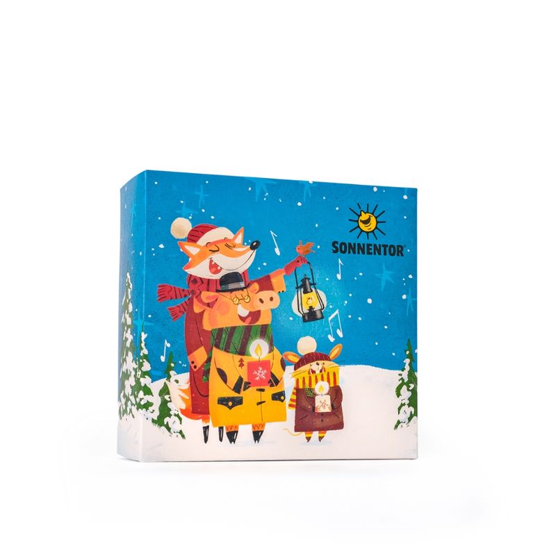 Sonnentor Geschenkkarton leer Weihnachten, S 22,5x21,5x9 cm - Produktbild