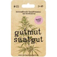 Cannabissamen (3Stk) - Bubble Gum (Auto) - Produktbild