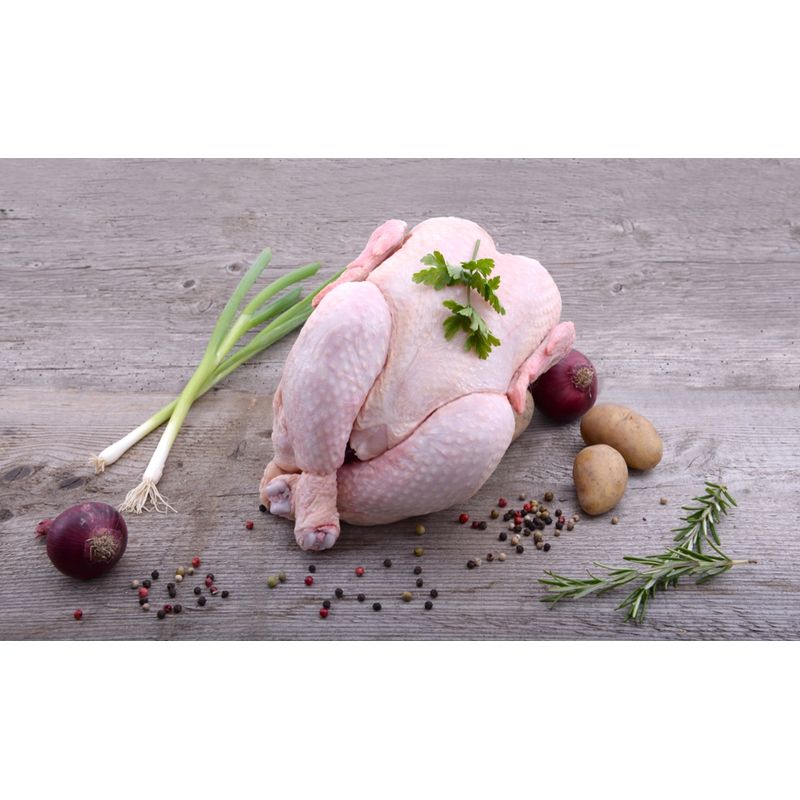 Freiländer Bio Geflügel Poularde, ganz, Bio, frisch, vakuumiert - Produktbild